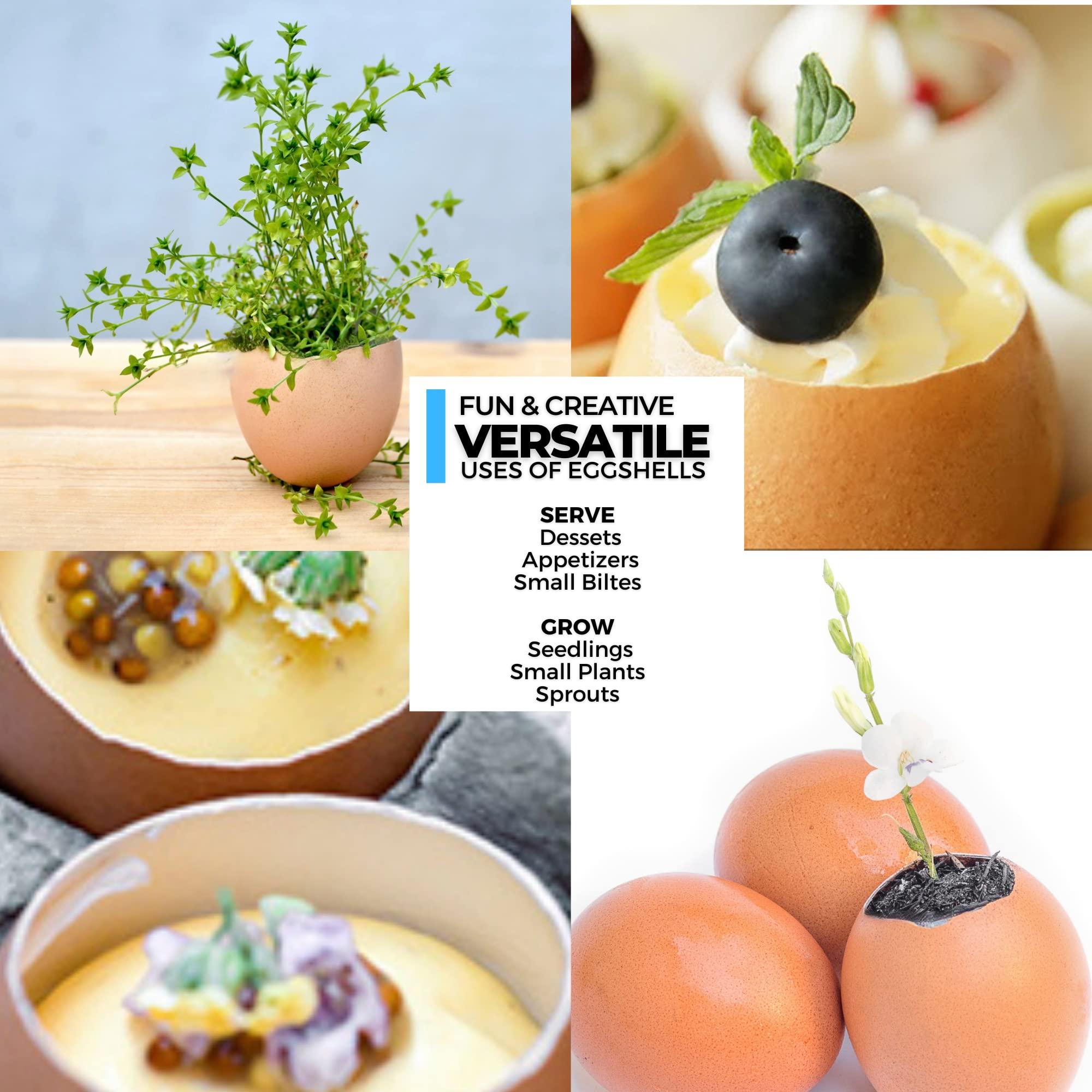 Impeccable Culinary Objects (ICO) ICO Stainless Steel Egg Topper and Perfect Egg Opener for Soft Boiled Eggs, Egg Cracker for Hard Boiled Eggs