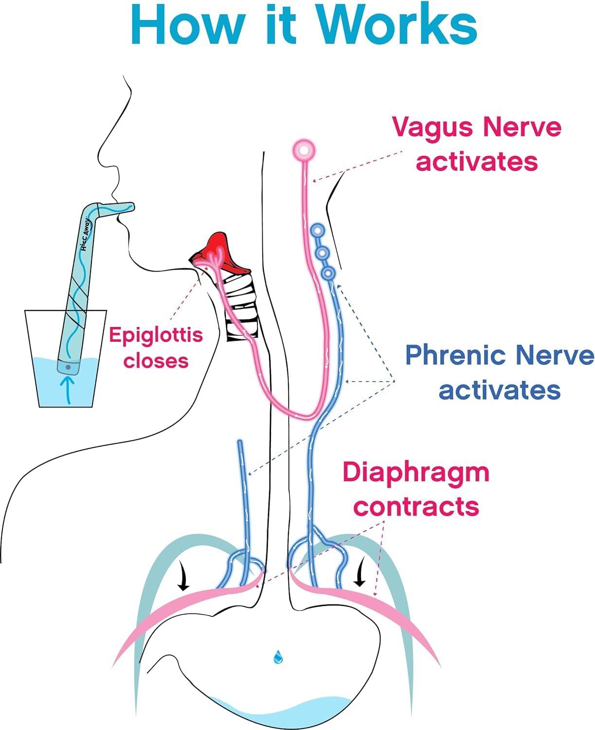 HICCAWAY HiccAway Hiccup Straw - Stops Hiccups Naturally & Fast - As Seen On Shark Tank - Clinically Proven Relief for All Ages, Children & Adults - Safe, Lightweight, & Reusable (HiccAway Green) 1 Pack
