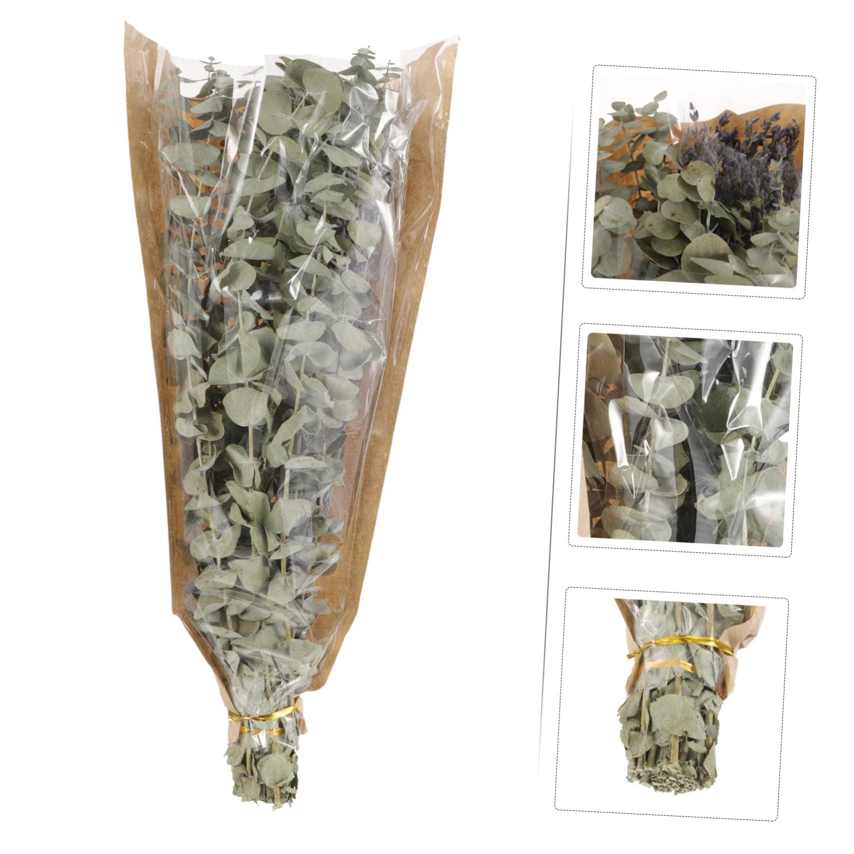 Ciieeo Ciieeo 1 Eucalyptus Shower Plant Real Eucalyptus Branches Dried Lavender Shower Preserved Eucalyptus Stem Lavender Bundles for Shower Dried Eucalyptus Stem Dried Flowers