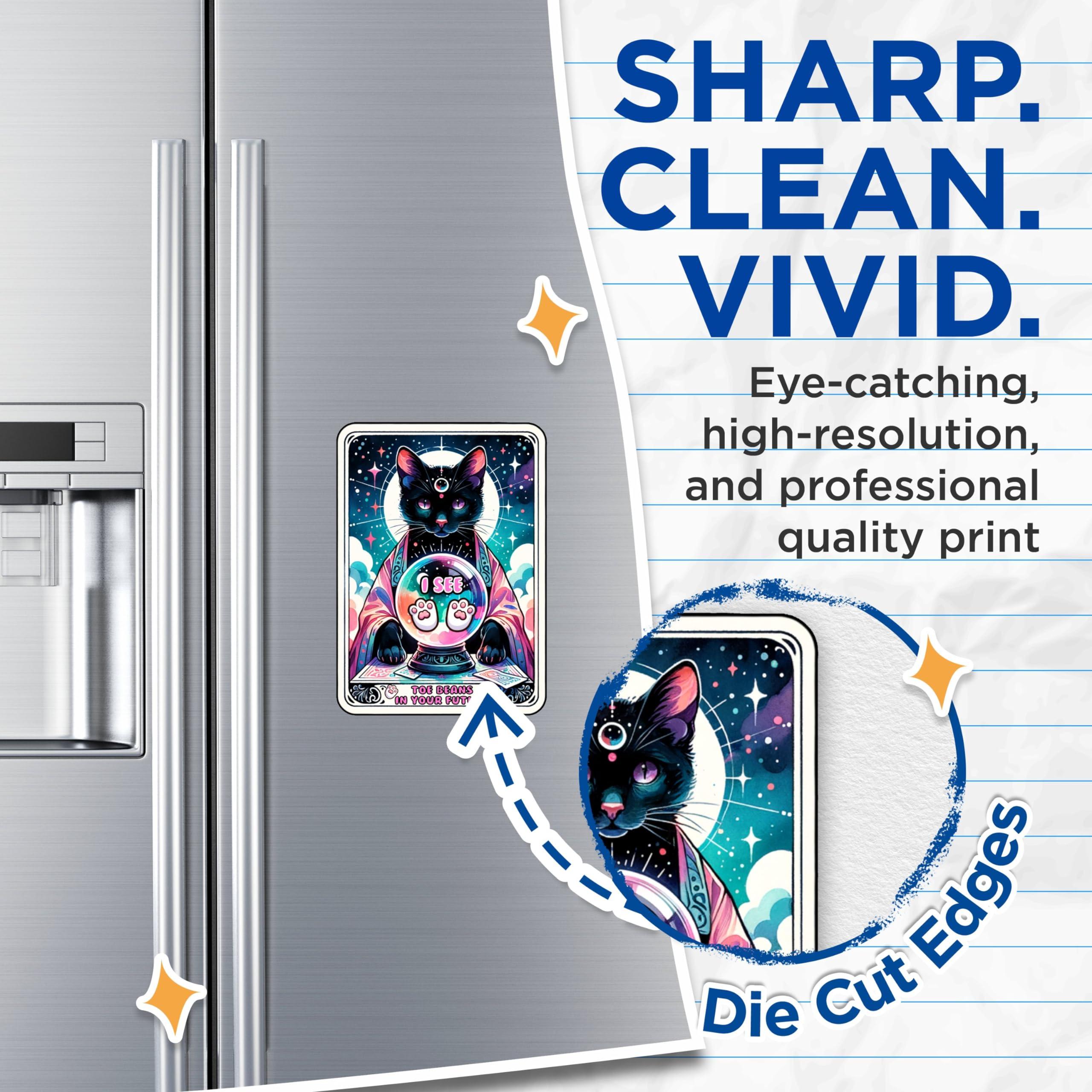 Bliss Monkey Co. (2 Pack) Toe Beans in Your Future Magnets - Cat Physic Tarot Card - 5\" On Longest Side - Premium Magnet - for Cars, Refrigerators, Toolboxes, Lockers - Made in USA - MAG1113