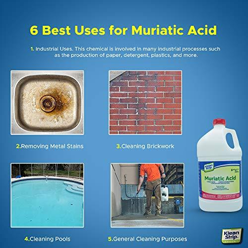 Centaurus AZ Klean Strip Green Muriatic Acid-Eco friendly Brightens Masonry Etch Concrete Removes Excess Mortar from Bricks and Cleans Algae and Scum-1 Gallon Plus Centaurus AZ Chemical Resistant Gloves