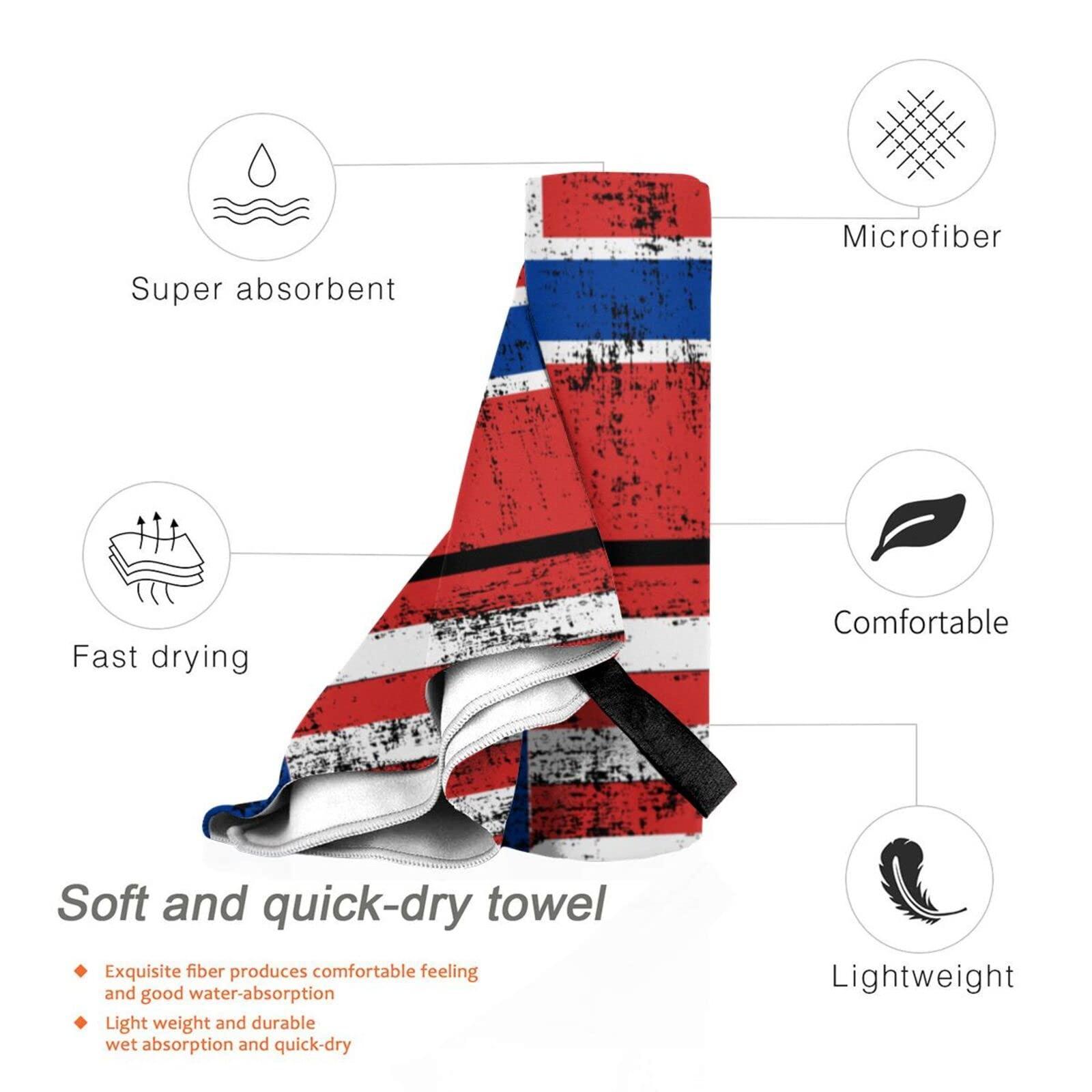 Elgi Elgi Ultra Bigg+ 2.5 Liter Table Top Wet Grinder | With Atta Kneader 110 Volt For USA & Canada, Blue