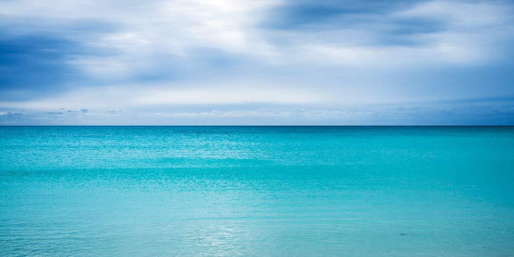 Jaxson Rea Jaxson Rea \"Mini Cooper Oncoming Gallery Wrapped Canvas by Iris Scott, 48\" x 48\"