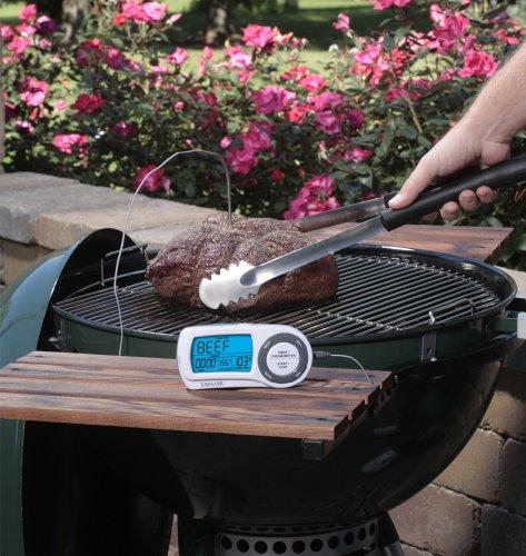 Taylor Taylor Gourmet Wireless Remote Thermometer