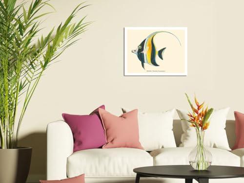 Pacifica Island Art Kihikihi (Zanclus Cornutus) - Moorish Idol - from Fishes of Hawaii - Vintage Hawaiian Color Postcard c.1905 - Fine Art Rolled Canvas Print (Unframed) 16in x 20in