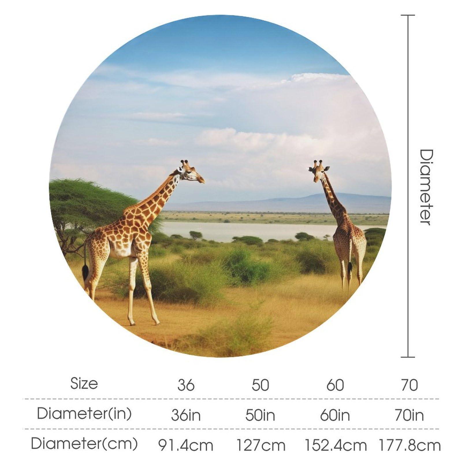 KAFFA ROASTER KALDI Coffee Roaster - Motor Drive Type (Roaster Only)