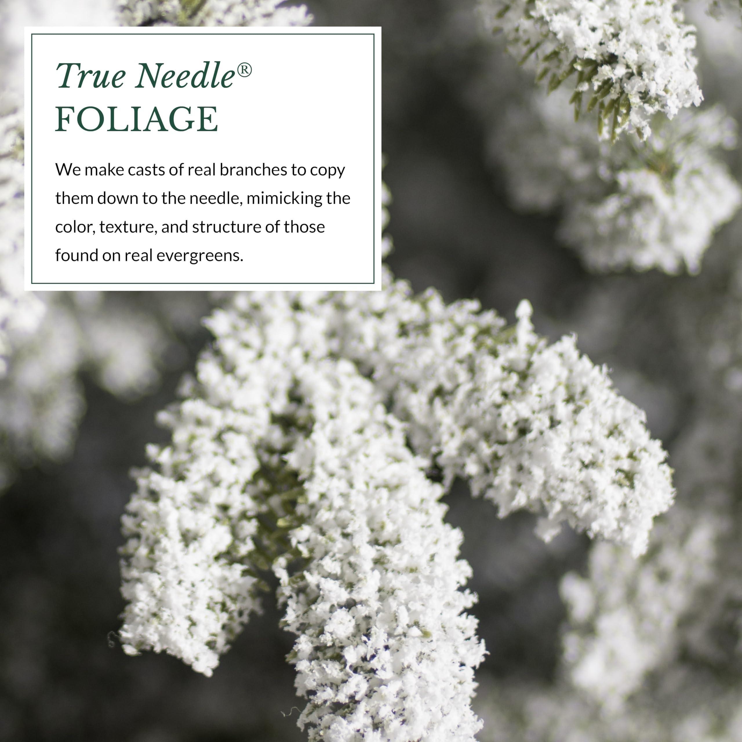 Balsam Hill Balsam Hill 7.5ft Pre-Lit Fraser Fir Frosted Artificial Christmas Tree with LED Clear Lights