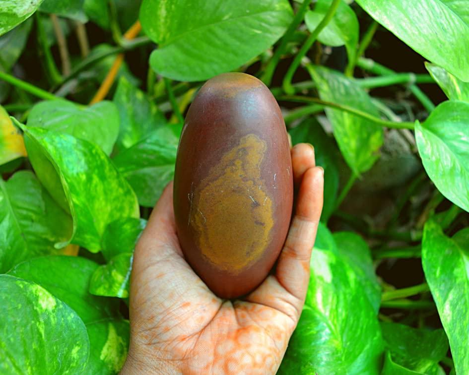 Shiva Lingam Shop Shiva Lingam Stone ~I-5700