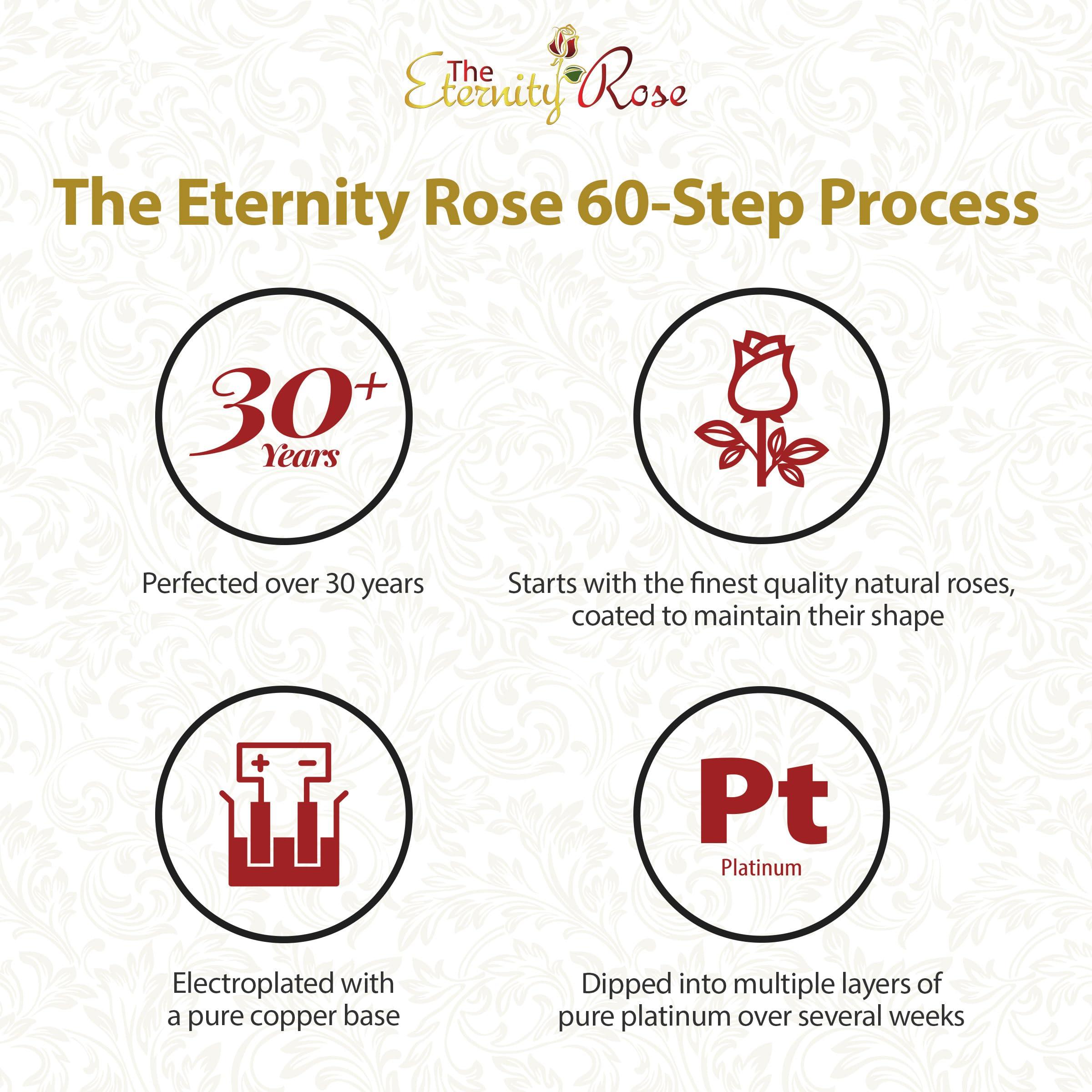 The Eternity Rose The Eternity Rose Platinum Dipped Rose with Matching Vase, Romantic Gifts for Her, Real Preserved Flower, 11.5\"