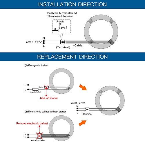 iledlight T9 LED Circline Light Bulb, 8 Inch 1600LM LED Circular Light, 13W Clear Cover 4000K Soft White Replacement for FC8T9 22-Watt Fluorescent Circular Bulb(FC8T9), Ballast Bypass Required