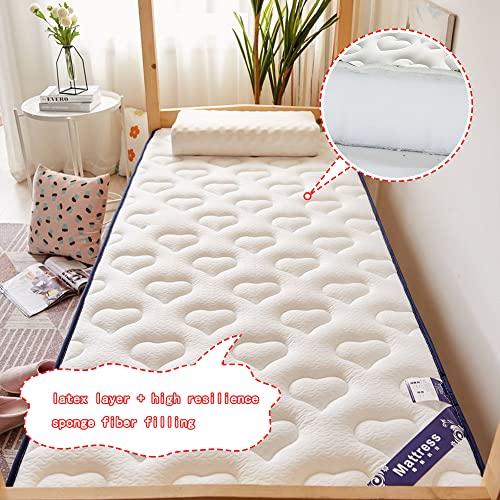 Generic Futon Mattress for Kids Room Tatami Japanese Floor Mat Queen Roll Up Camping Mattress Foldable Tatami Mat Sleeping Pad Single Double Mattress Topper for Student,Grey1,150x190cm