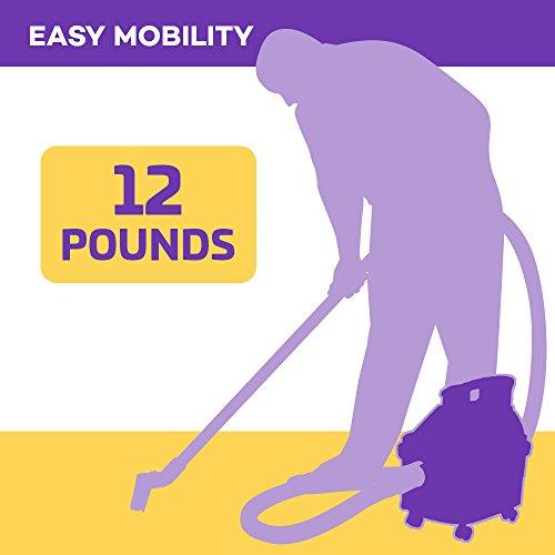 ProTeam ProTeam Wet Dry Vacuums, ProGuard 4 Portable, 4-Gallon Wet Dry Vacuum Cleaner with Tool Kit