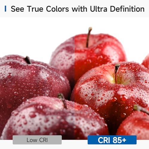 xsby xsby Arm Skin Protectors, Protective Arm Sleeves, For Sensitive Skin, Help Protect From Tears & Bruising 2 Pair Rose Red L