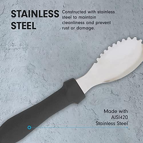 Messermeister Messermeister Pro-Torch Plus Culinary Scoop & Scraper - Multi-Purpose Tool to Remove Seeds, Pulp & More - AISI420 Stainless Steel & Oversized Handle