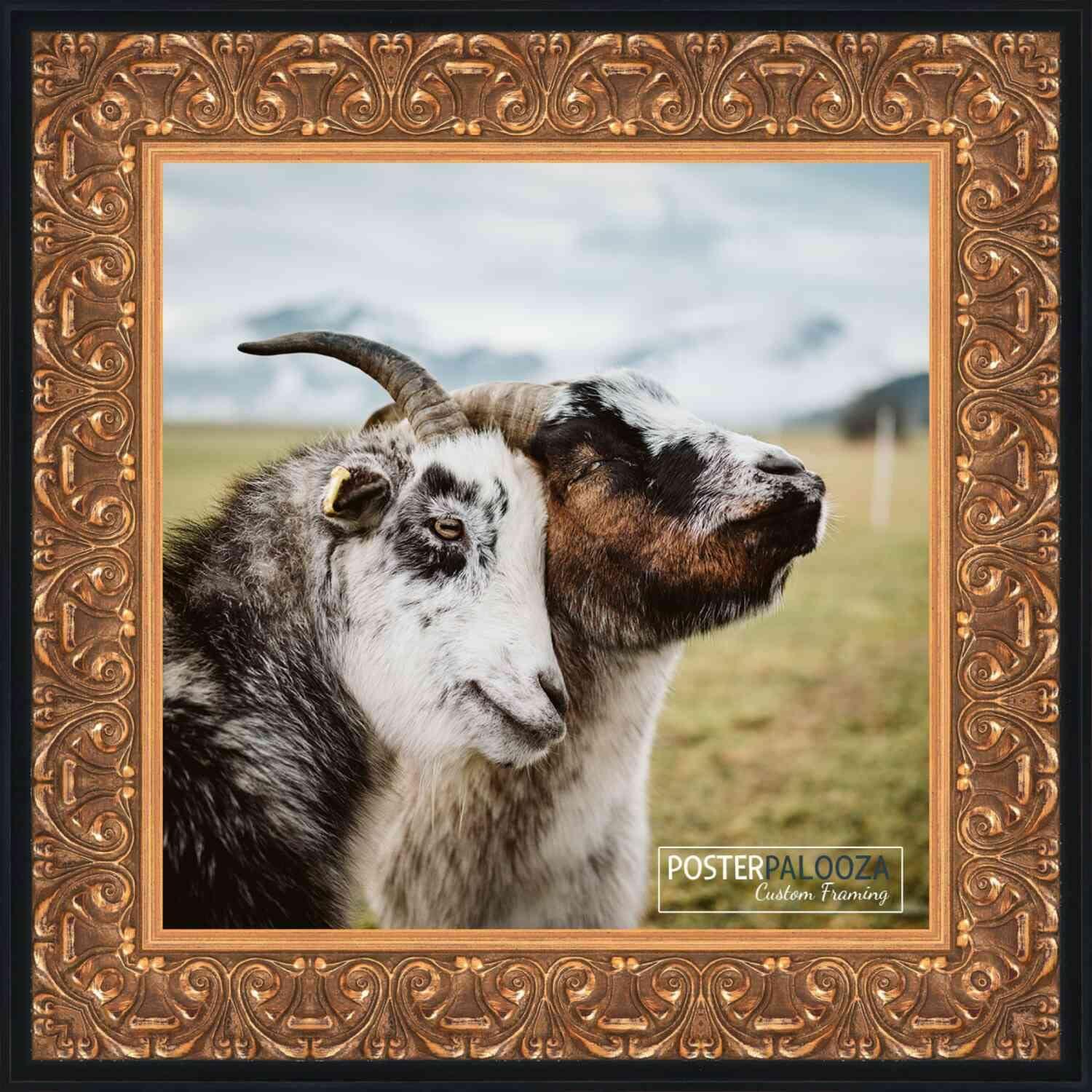 Poster Palooza Poster Palooza 8x8 Frame Gold Ornate Furio Solid Wood Picture Frame | 2.75 Inch Moulding Width | with UV Acrylic Plexiglass, Foam Board Backing & Hanging Hardware Included