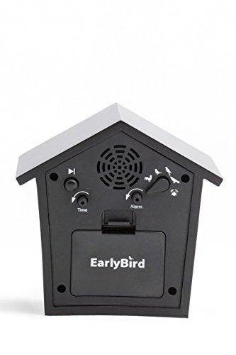 KOOKOO KOOKOO EarlyBird Black, Birdsong Alarm Clock (Original Field Recordings) or a Three-Tone gong