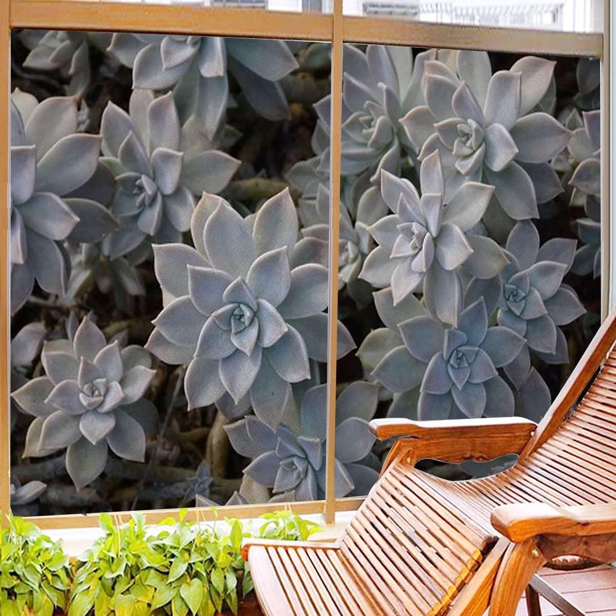 Generic Green Decorative Vinyl Window Film Frosted Glass Sticker Static Cling Window Covering for Privacy Decoration Cute Succulents Flower Desert Frosted Glass Film 27.6Wx47.2L-inch x2 Pcs