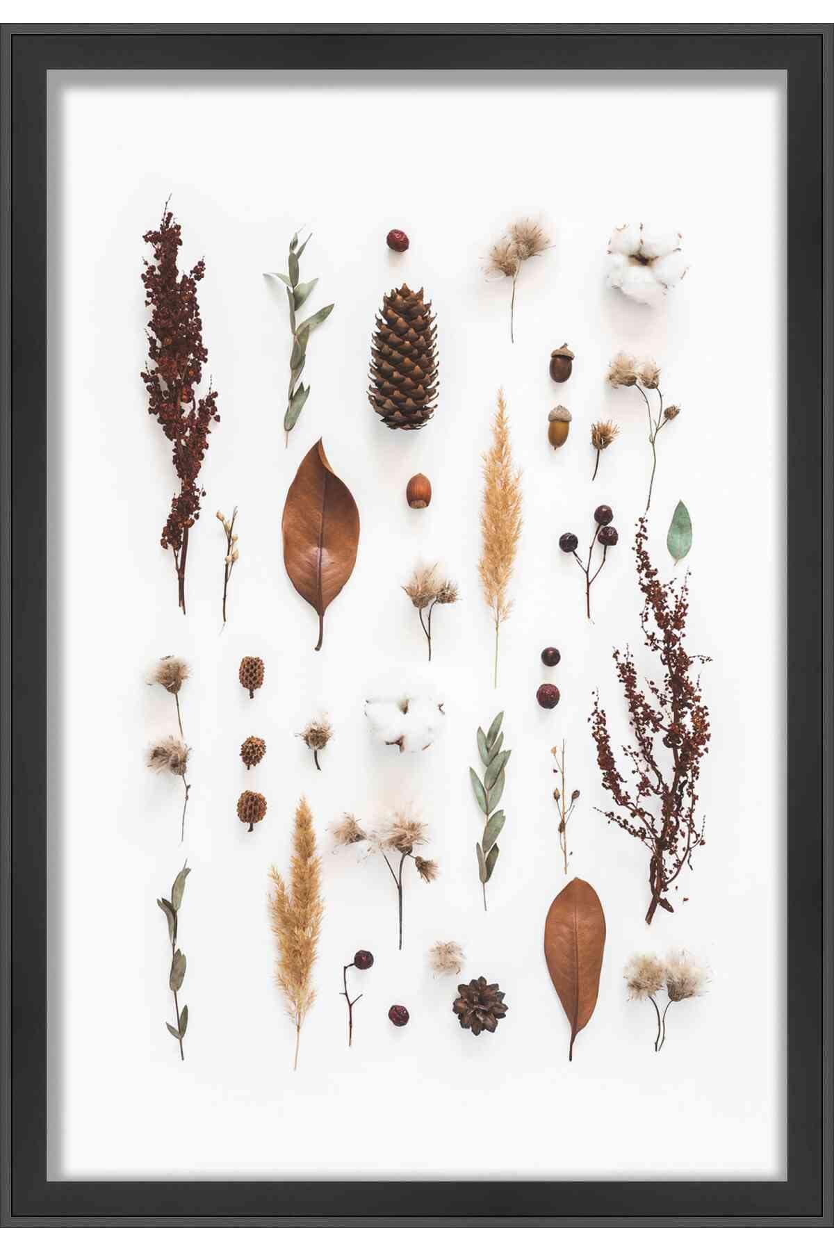 Poster Palooza 14x11 Black Shadow Box Frame - Shadow Box Frame Interior Size 14x11 by 1 Inches Deep - Black Frame is Made to Display Items Up to 1 Inches Deep! Includes Shatter Resistant Acrylic, Backing, Hardware