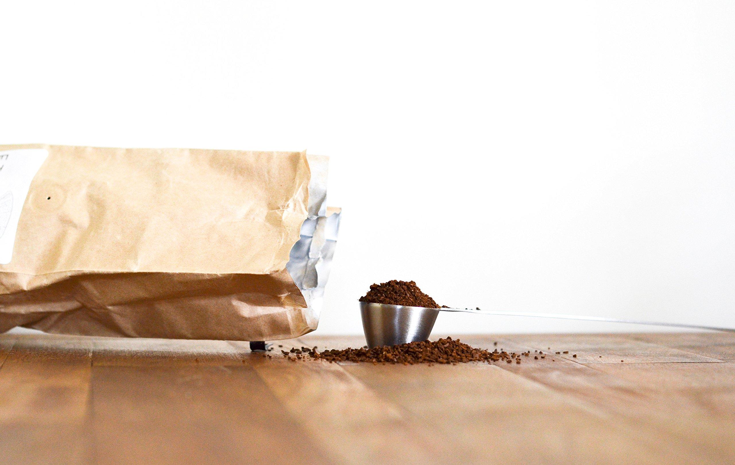 EcoSmart EcoSmart 60W Equivalent Daylight A19 Energy Star, Dimmable LED Light Bulb (8 Pack)