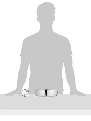 (Wadasuke) SW NB Stainless Steel Electromagnetic Pot with Divider, 11.4 inches (29 cm)
