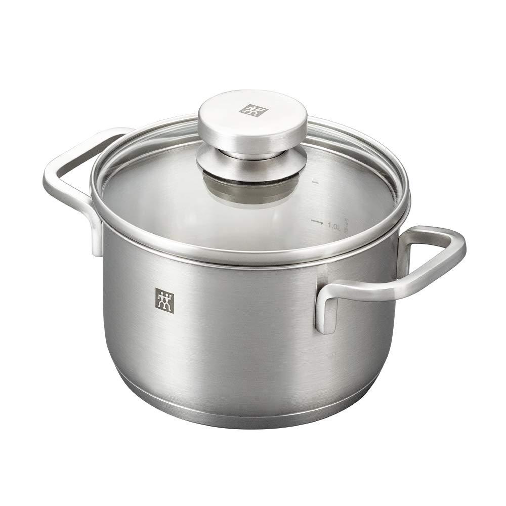 ZWILLING ZWILLING Focus 10 Piece Stainless Steel Cookware Set I Industion Compatible I 18/10 Stainless Steel Interior for Pure Tasting Food I Glass Lids and Folded Rims, Regular, Silver (66670-001)