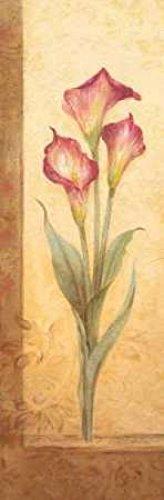 Posterazzi Posterazzi Grandiflora III Poster Print by Pamela Gladding, (8 x 24)