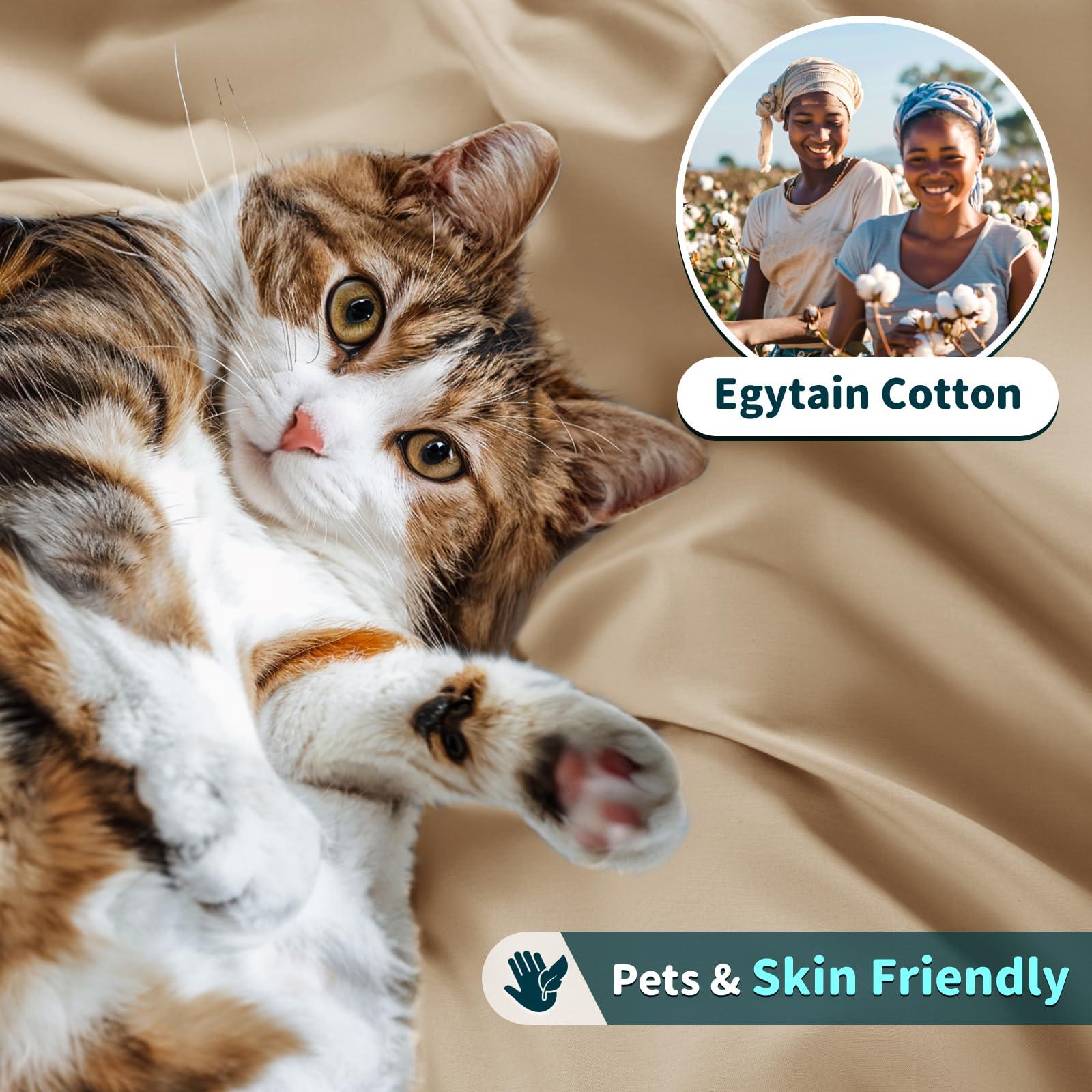 LBRO2M LBRO2M 100% Cotton 1200 Thread Count Full Size Sheets Set,16 inches Deep Pocket,Bed Sheet 4 Piece Sets (Full, Cream)