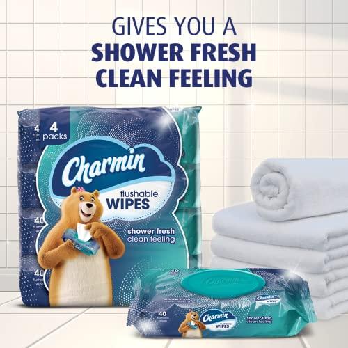 Charmin Charmin Flushable Wipes, 2 packs, 40 Wipes Per Pack, 80 Total Wipes