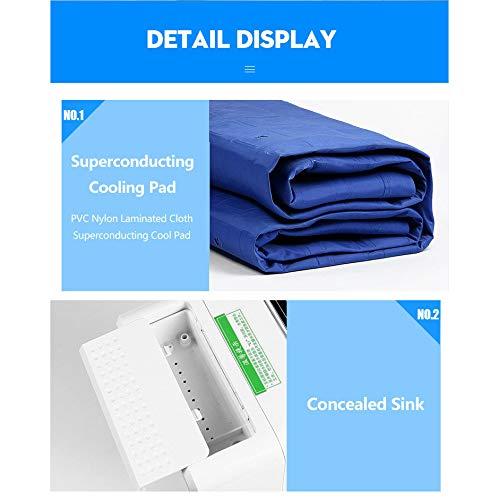 APENCHREN APENCHREN Cooling Water Mattress, Cooler Pad, Ice Mattress, Cooling Bed Conditioning System - for Home, Dorm Room, Apartment and Hostel, Cool in Summer,160x70cm