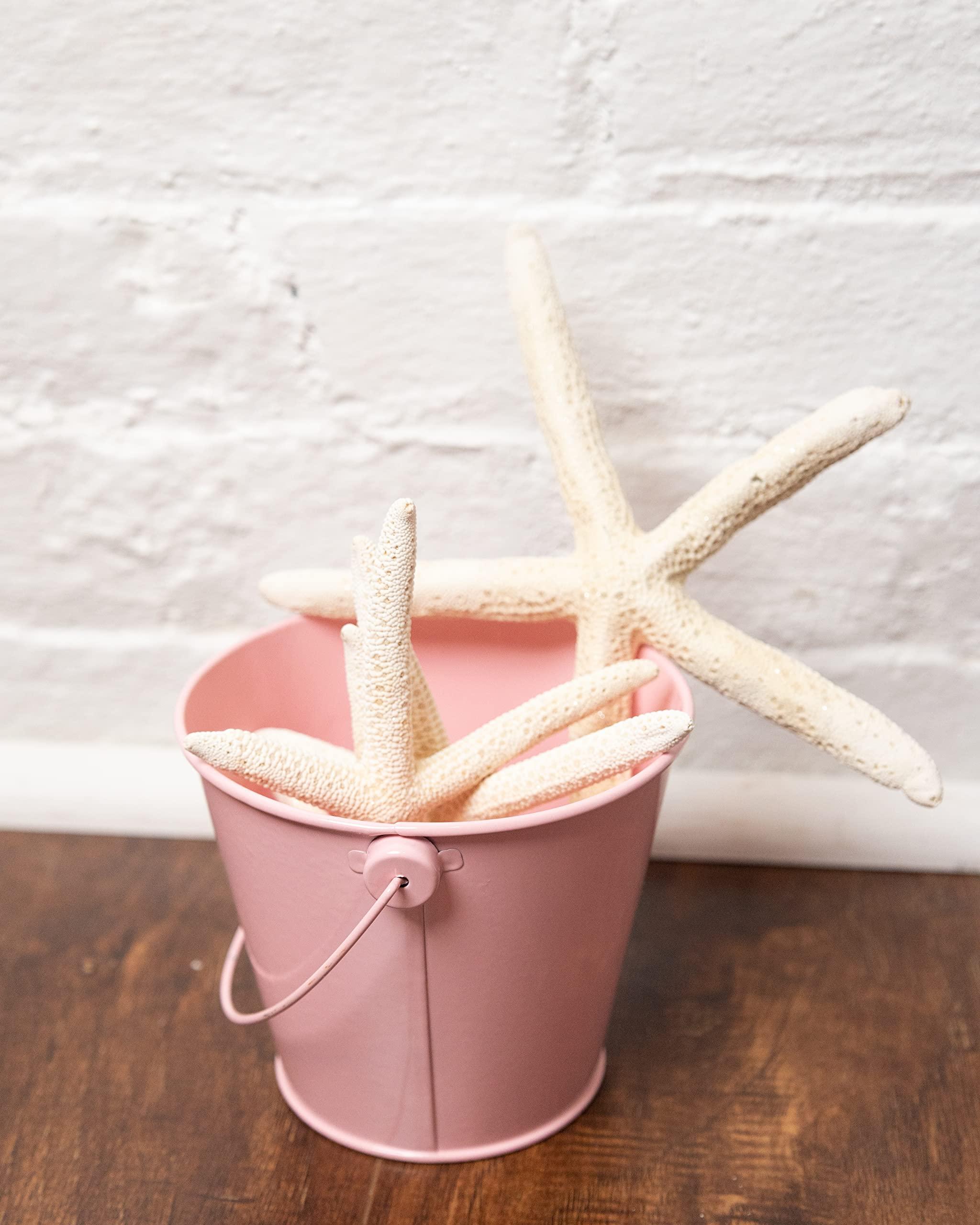 Dominus Decors Small Metal Buckets with Handles - Leak-Proof Metal Pail Bucket - Galvanized Bucket with Handle - Multipurpose Tin Bucket for Party Favors, Organization, School, Weddings, Garden - Set of 6, Pink