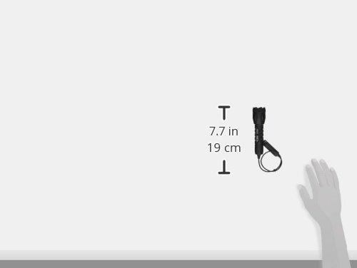 Elzetta Elzetta B336 Bravo 2-Cell Flashlight with Crenellated Bezel Ring, High Output AVS Head, Remote Tape Switch with 12" Cable