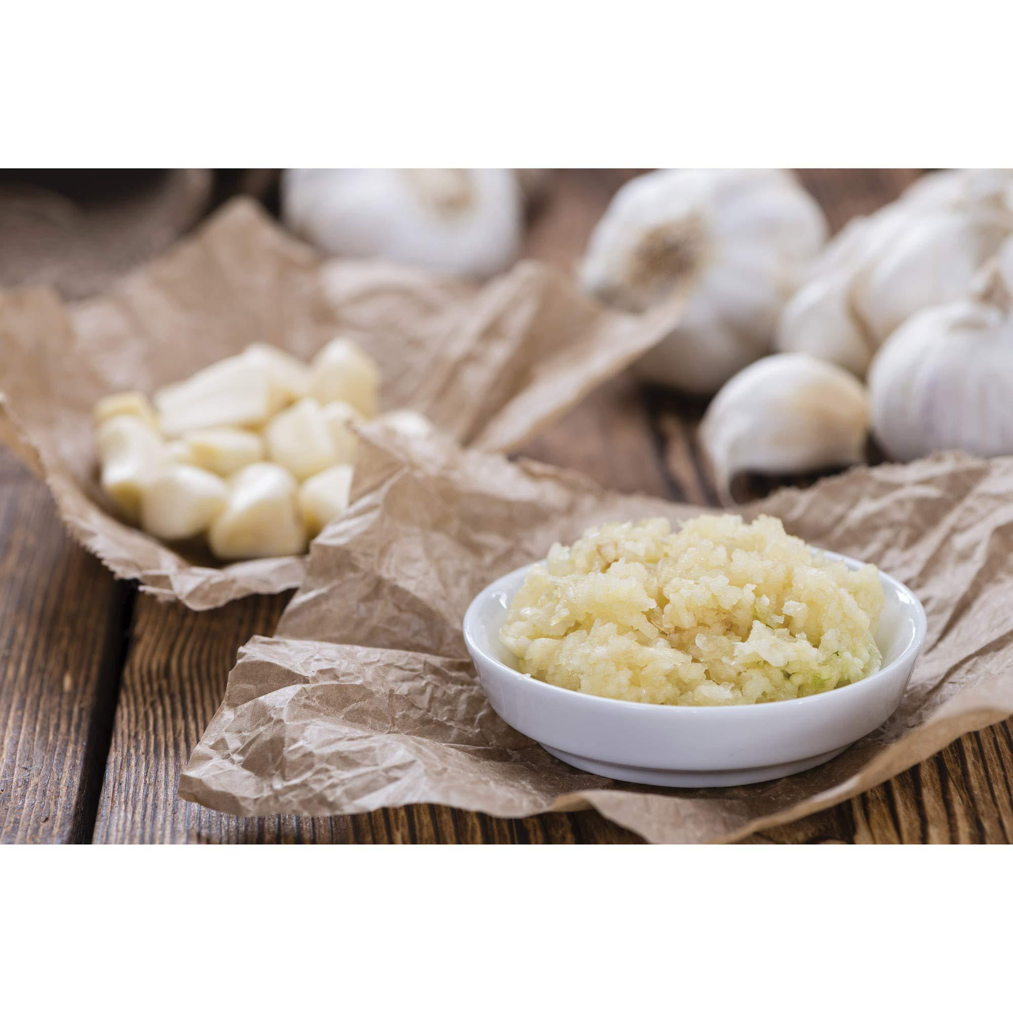 Fante's Fantes No-Peel, Self Cleaning Garlic Press, 6.25 x 1-Inches, the Italian Market Original since 1906