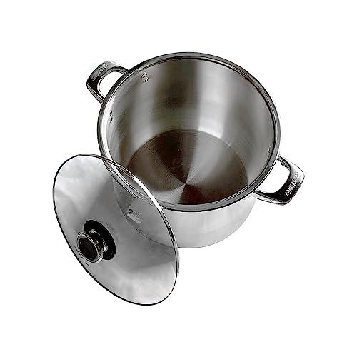 Generic Stainless Steel Stock Pot, 10 Quart Pot with Glass Lid,Heat-Proof Double Handles