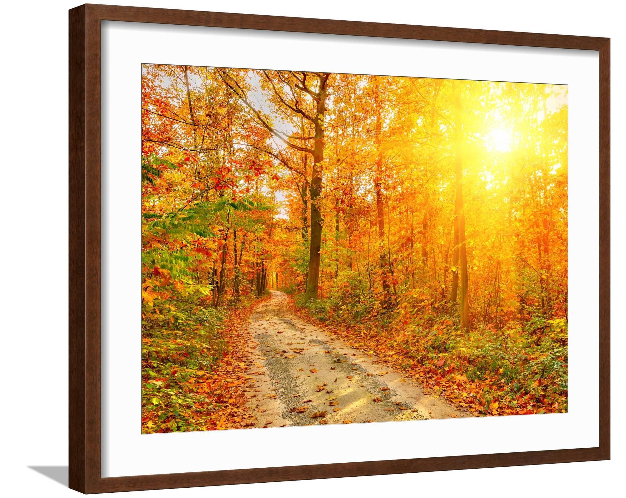 ART.COM ART.COM Framed Wall Art Prints Pathway through the Autumn Forest by sborisov, Scenic Decor, 24\" x 18\", Espresso Frame with White Mat