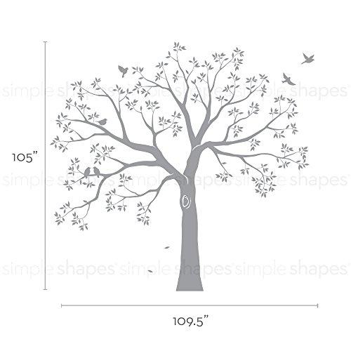 Simple Shapes Staircase Family Tree Wall Decal Tree Wall Decal - (Chestnut Brown, Standard Size: 109.5 w x 105 h Inch) - by Simple Shapes