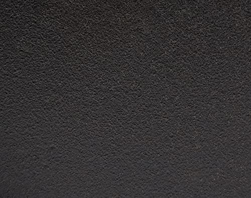 Lodge Lodge Cast Iron Buffalo Nickel Skillet, 10.25 Inch