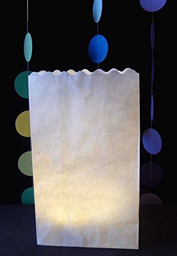 Quasimoon Quasimoon PaperLanternStore.com White Paper Luminaries/Luminary Lantern Bags Path Lighting (10 Pack)
