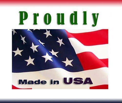 Feenixx Introduction to Fossils Poster