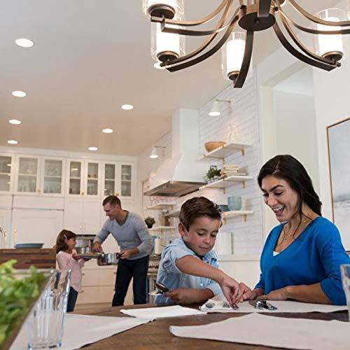 Lutron Lutron Skylark LED+ Dimmer Switch for Dimmable LED, Halogen and Incandescent Bulbs | Single-Pole or 3-Way | SCL-153P-GR | Gray