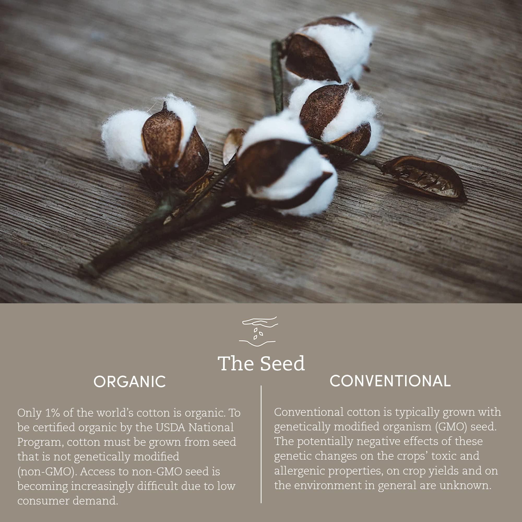 Coyuchi Coyuchi Air Weight Organic Towels, Hand Towel - Undyed (20\" x 40\")