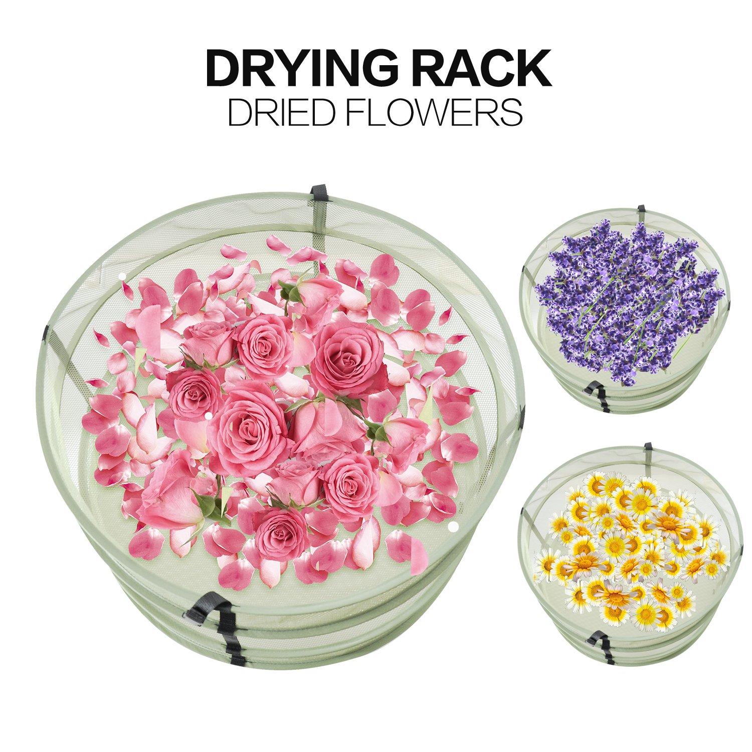 NutriChef NutriChef Hot Air Fryer Oven - w/Digital Display, Electric Big 3.7 Qt Capacity Stainless Steel Kitchen Oilless Convection Power Multi Cooker w/Basket Pan - Use for Baking, Grill - (Black), One Size