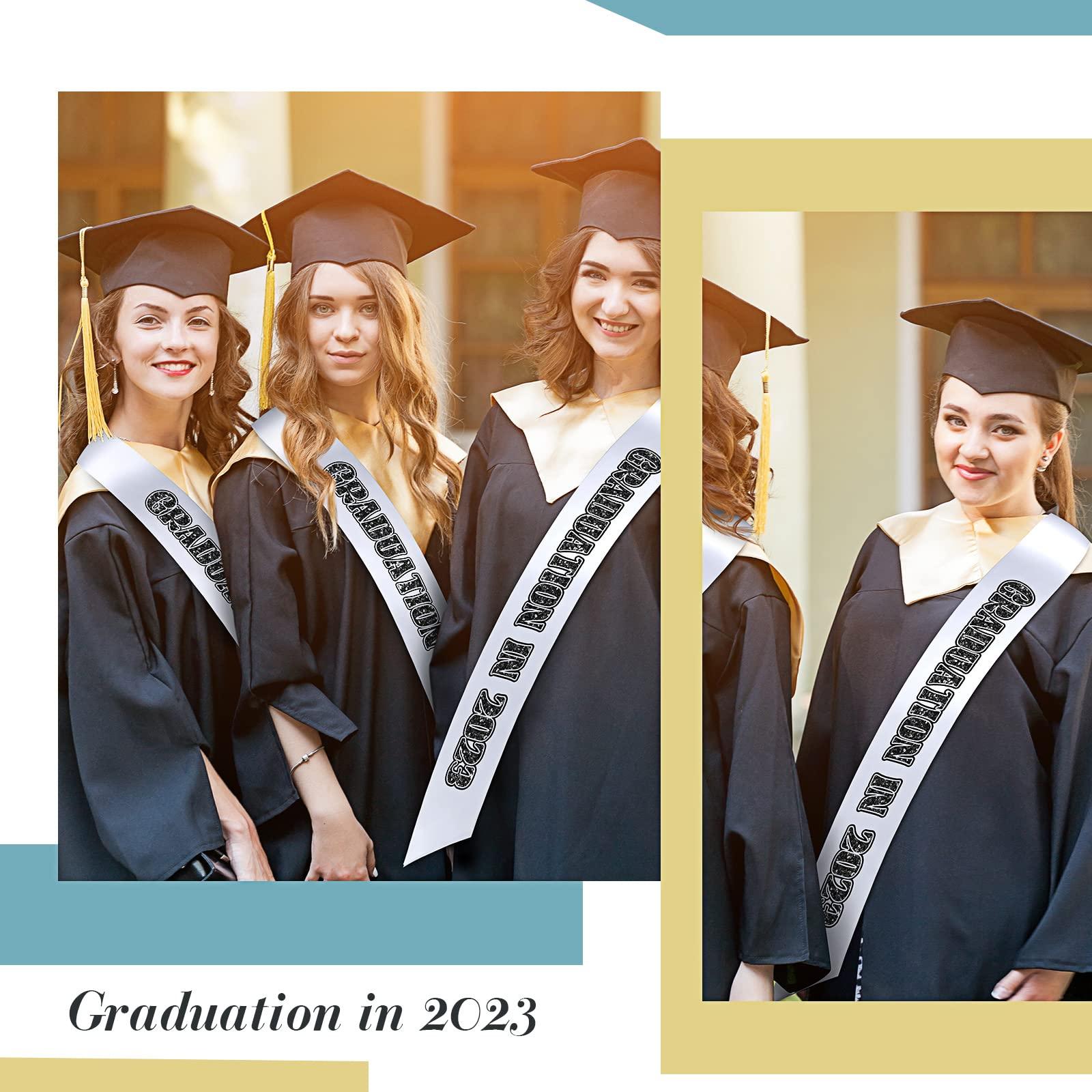 Juinte Juinte 12 Set Crown and Sashes Set Blank Satin Sashes for Pageants Rhinestone Prom Queen Tiara Crown White Blank Sash DIY for Birthday Wedding Beauty Pageant Prom Party Supplies(White, Silver)