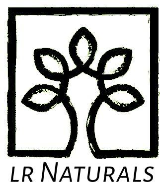 Casa Vacuums 10 GN Bags Compatible with Miele Classic C1 - Complete C2 - Complete C3 - S2 - S5 - S8 - [S800 - S858] - [S600-S658] - [S400i - S456i] Canister Vacuum Cleaners. Includes 4 Filters 3D Technology.