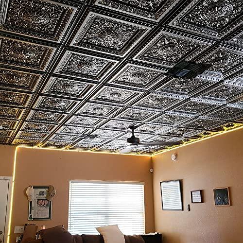 From Plain To Beautiful In Hours La Scala-Faux Tin Ceiling Tile - Antique Silver 25-Pack