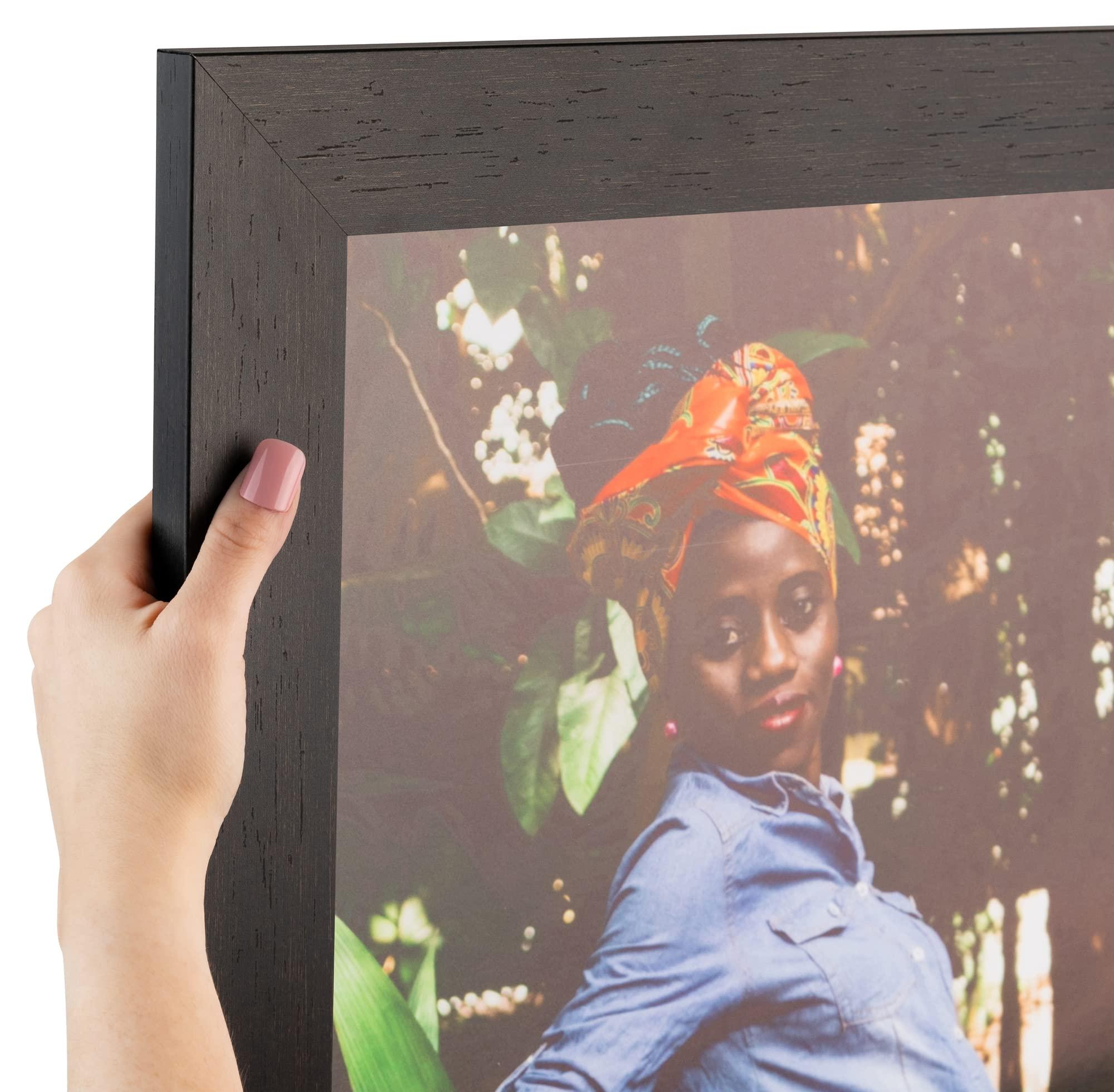 ArtToFrames ArtToFrames 12x18 Inch Brown Picture Frame, 3 - Pack, This 2.00 inch Custom MDF Poster Frame is Walnut, Comes with Economy Acrylic (Frame_Pack_3_FRBW74061-12x18)
