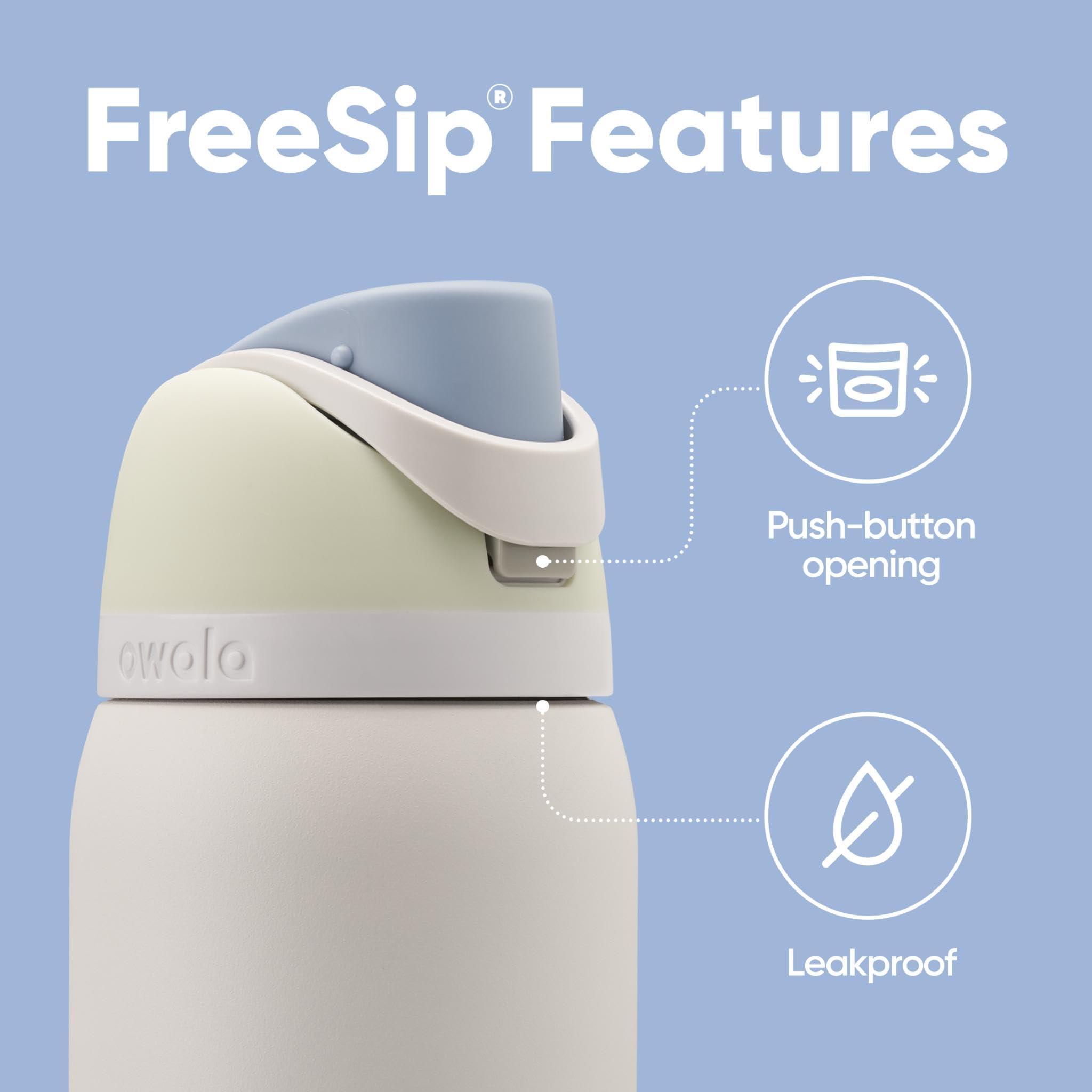 Owala Owala FreeSip Insulated Stainless Steel Water Bottle with Straw for Sports, Travel, and School BPA-Free Sports Water Bottle, 32 oz, Iced Breeze