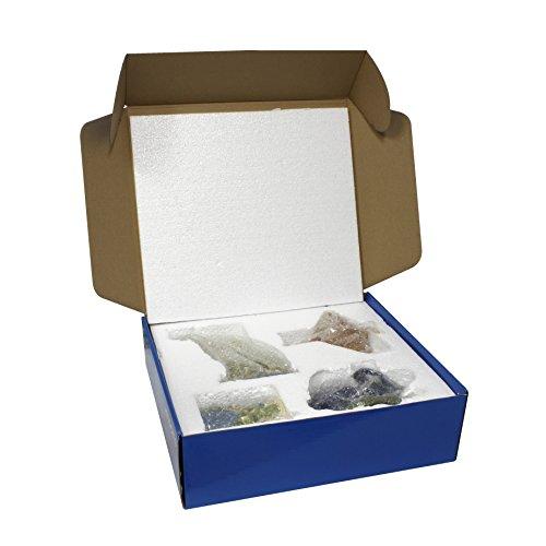 MODONA MODONA Four Piece Kids Bathroom Accessories Set - Dinosaur