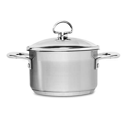 Chantal Chantal Induction 21 Steel Soup Pot with Glass Tempered Lid (2-Quart)