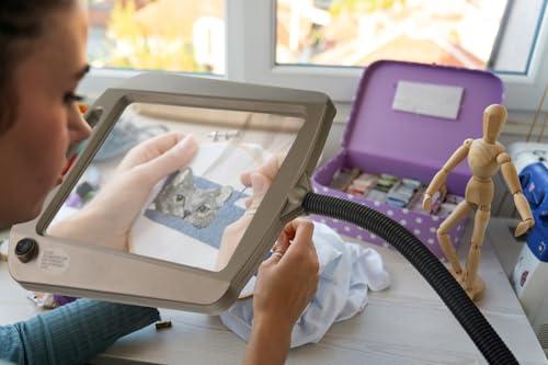 daylight24 daylight24 402039-BRNZ Full Page 8 x 10 Inch LED Illuminated Floor, Bronze Magnifier Lamp