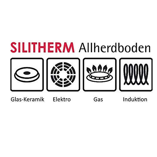 Silit Silit Wuhan original Wok pan, Large, Silver